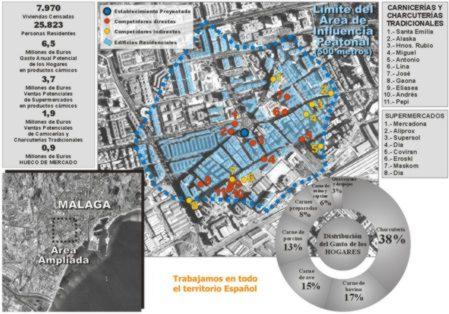 Estudio de Viabilidad de Mercado para Tienda Comercio PYME Geoconyka Plan de Negocio Analisis de Demanda y Competidores Diagnostico Localizacion